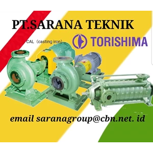 TORISHIMA PUMP CA series End-suction volute pump PT. SARANA TEKNIK 